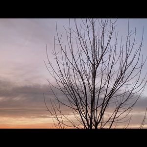 Meet your Posher, Ava